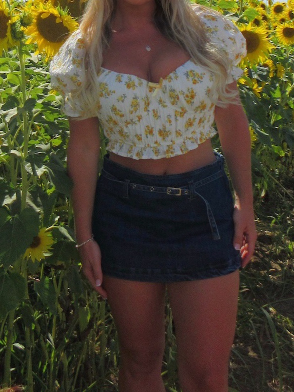 Altard State Cropped Blouse